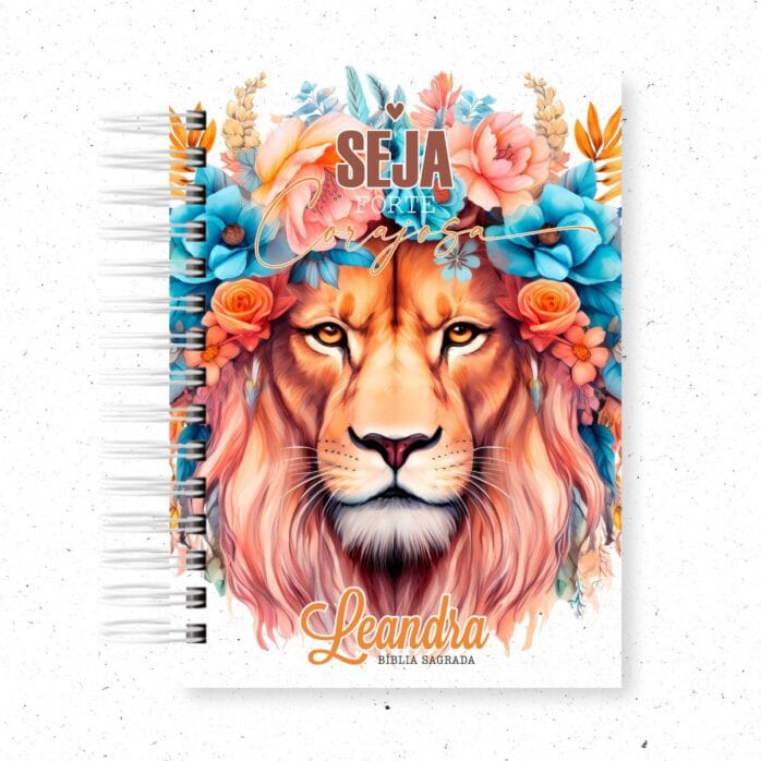 10 Capas Bíblias - Png