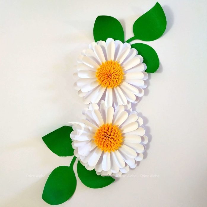 12 Moldes Flores Arquivos De Corte Silhouette Tesourete Dxf