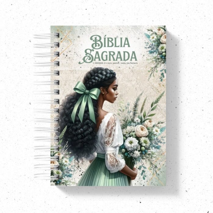 20 Capas Bíblias - Png