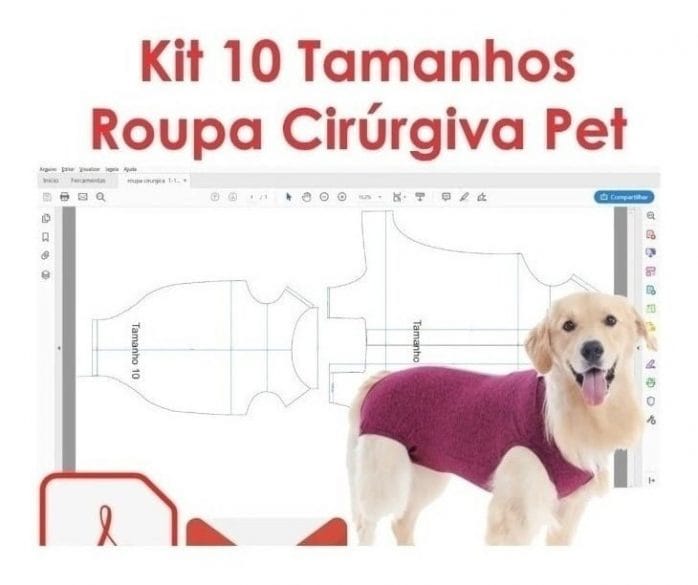 Kit 100 Moldes Pet Variados Em Pdf