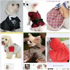 Kit 100 Moldes Pet Variados Em Pdf