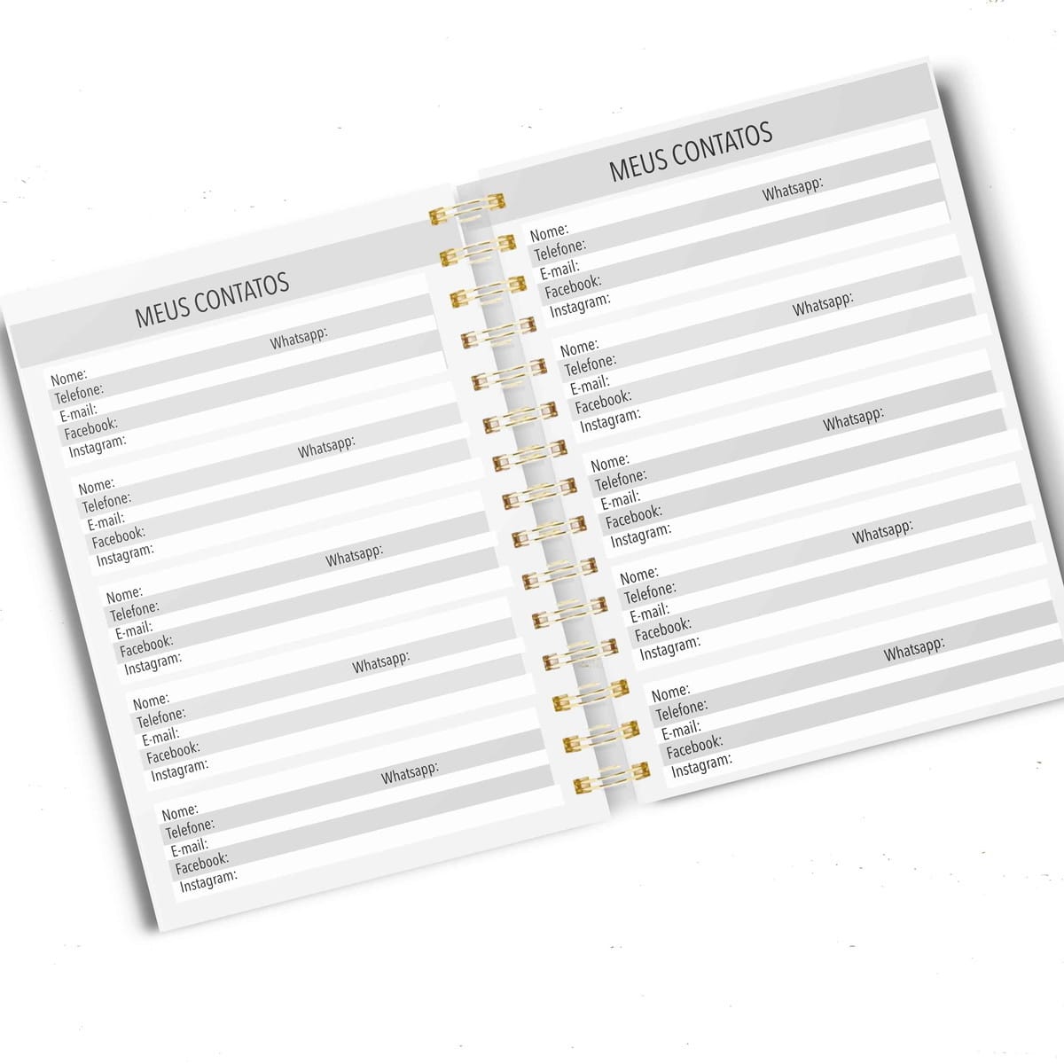 Agenda Permanente Feminina em Aquarela para Imprimir 3 Páginas de uma agenda aberta com campos organizados para registro de contatos pessoais.