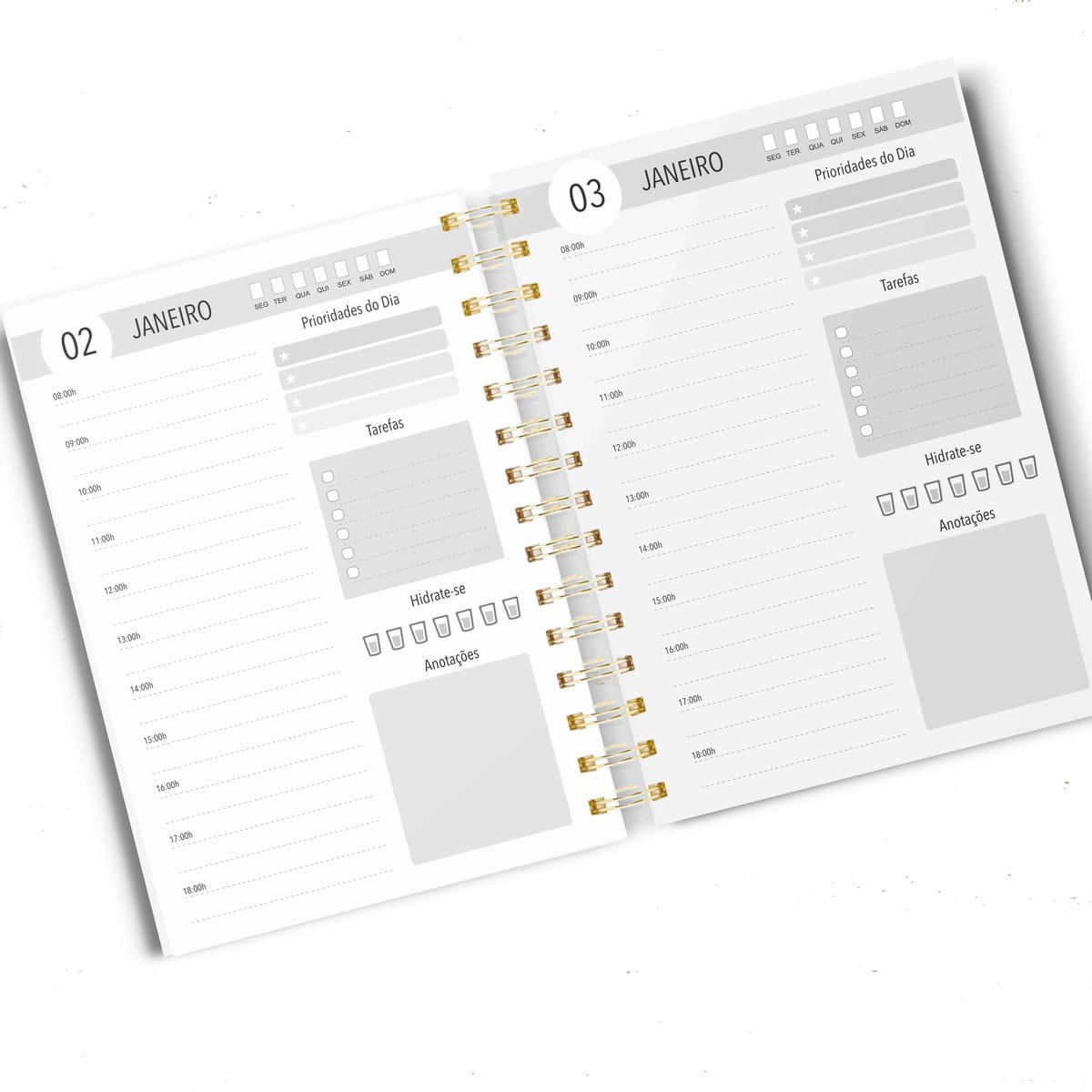Agenda Permanente Feminina em Aquarela para Imprimir 4 Agenda aberta com páginas de planejamento diário para os dias dois e três.