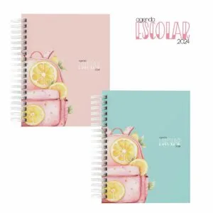 Agendas Escolares 2024