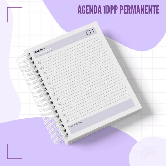 Agendas Profissões Femininas