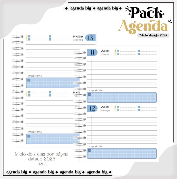 Agendas Tamanho Universitário Masculino