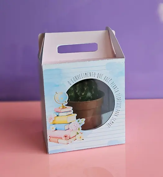 Arquivo Completo Professores Caixa Suculenta 1 Arquivo Completo Professores Caixa Suculenta