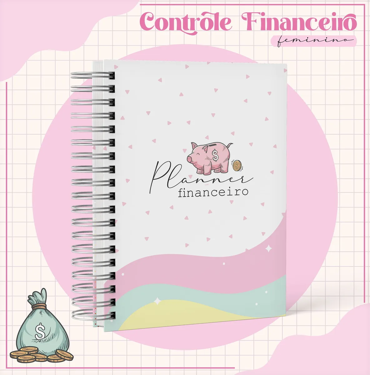 Arquivo Digital Planner Financeiro Feminino