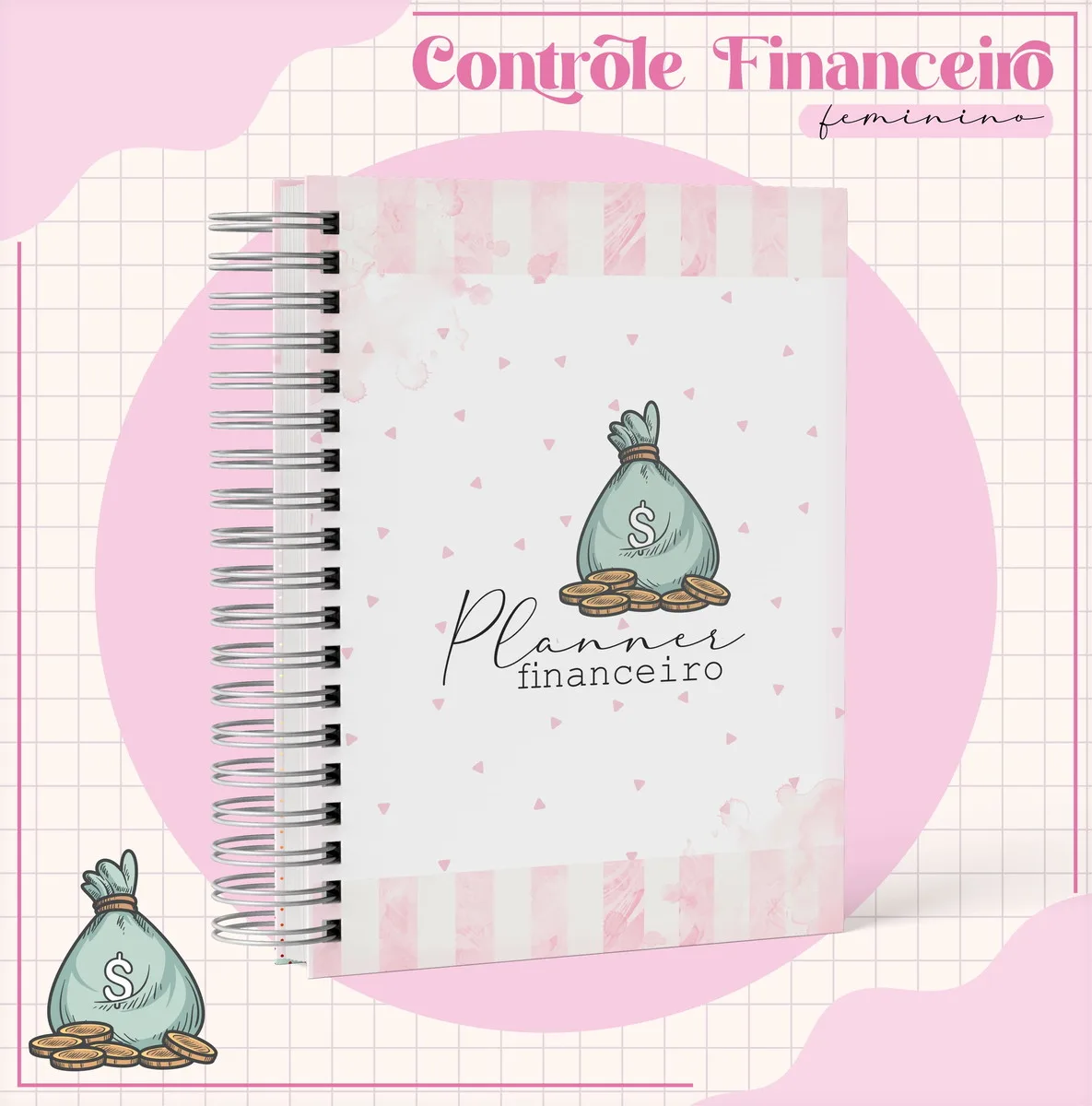 Arquivo Digital Planner Financeiro Feminino