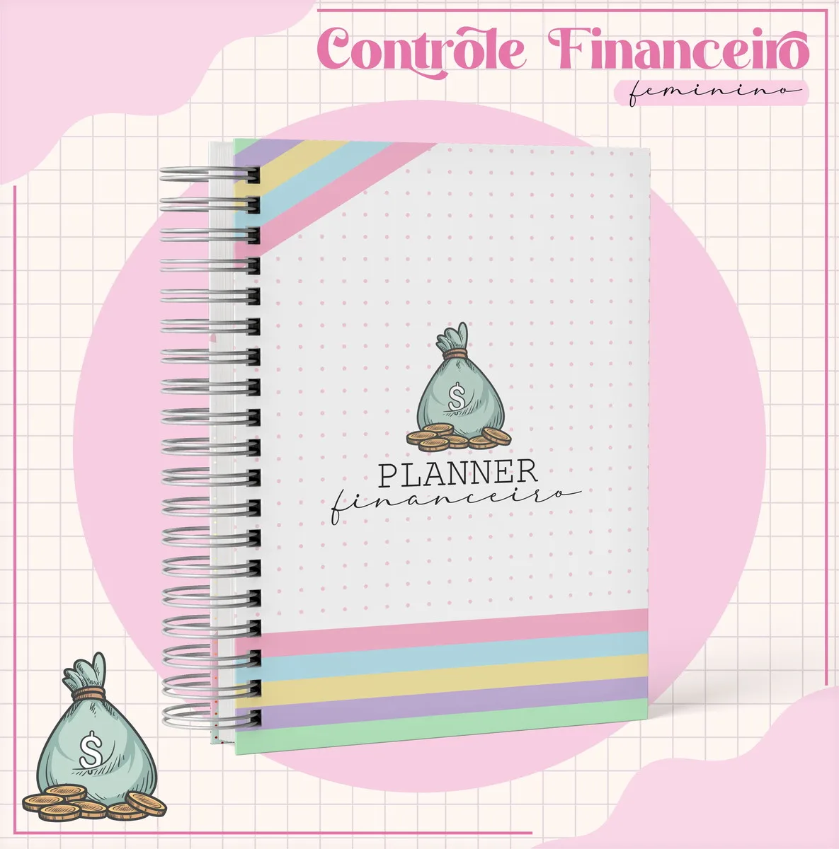 Arquivo Digital Planner Financeiro Feminino