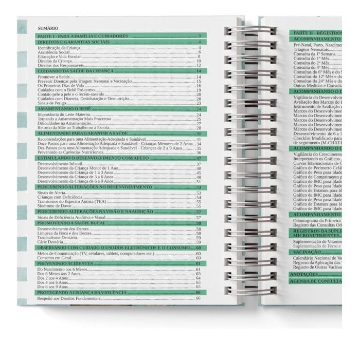 Arquivo Pdf Caderneta De Saúde Clean - 5ª Edição - 5 Cores