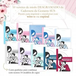 Caderneta da Gestante Sus 13 Caderneta da Gestante Sus
