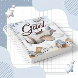 Caderneta de Saúde Avião Menino 11 Caderneta de Saúde Avião Menino