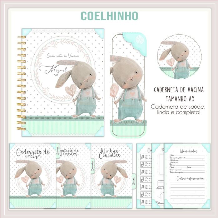Caderneta de Vacina Coelhinho Menino