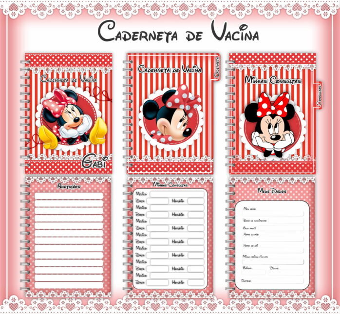 Caderneta de Vacina Minie Vermelha