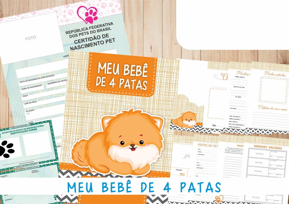 Caderneta de Vacina Personalizada para Cachorro Macho 2 Caderneta de Vacina Personalizada para Cachorro Macho
