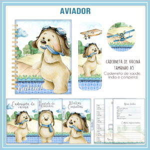 Caderneta de Vacina Urso Aviador