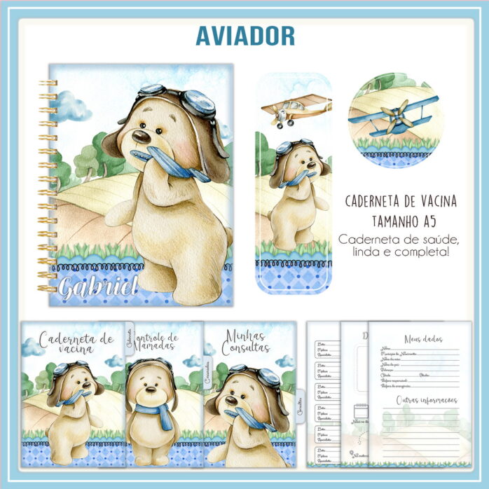 Caderneta de Vacina Urso Aviador