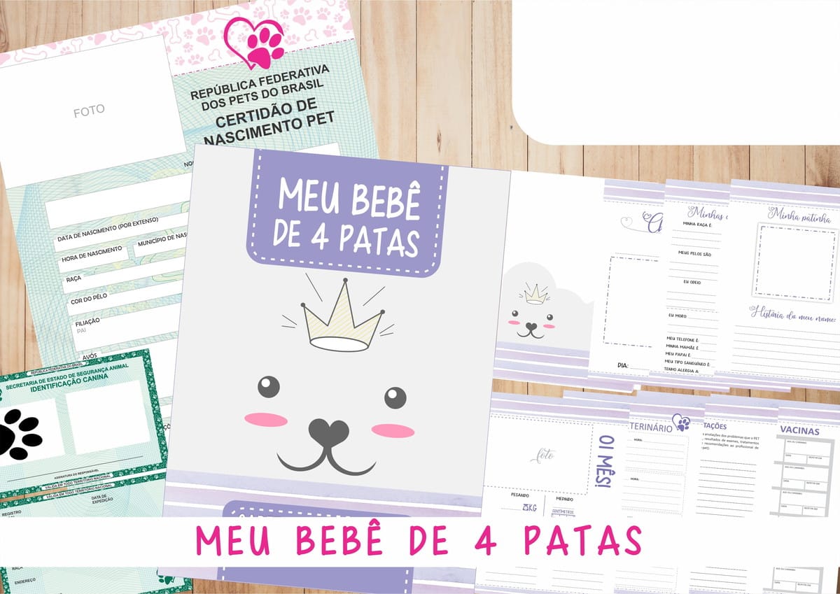 Caderneta de Vacinação Personalizada para Cachorra 2 Folhas impressas com modelo de certidão de nascimento e caderneta para pets.