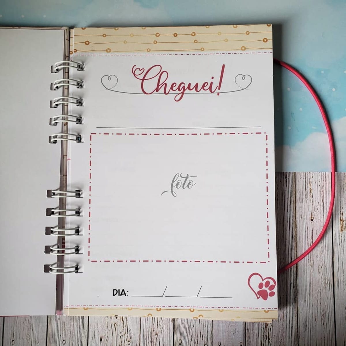 Caderneta de Vacinas e Momentos para Cachorrinha 4 Caderno espiral aberto com página decorada e espaço para foto e anotações.