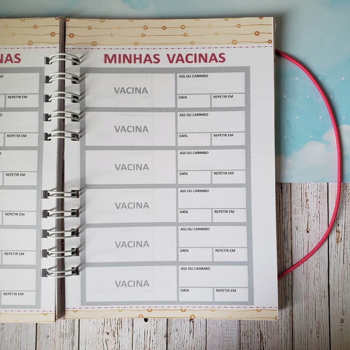 Caderneta de Vacinas e Momentos para Cachorrinha 5 Caderno de anotações aberto exibindo páginas impressas com campos para registro de vacinas.
