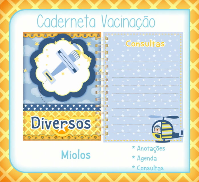 Caderneta Saúde Urso Aviador