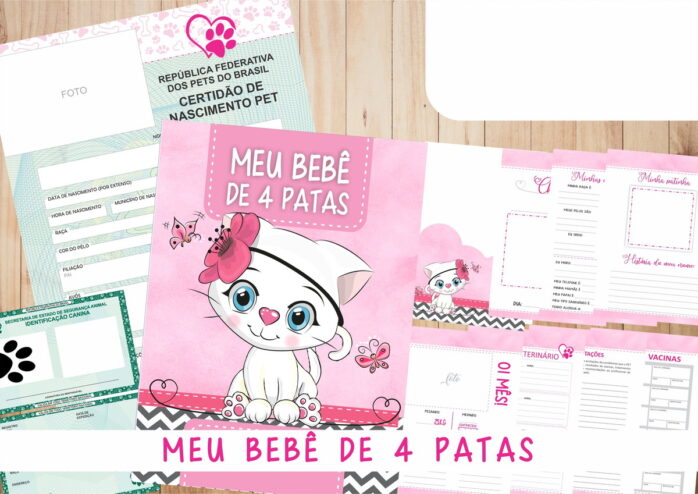 Caderneta Vacina e Registros Momentos - Cat Fêmea 1