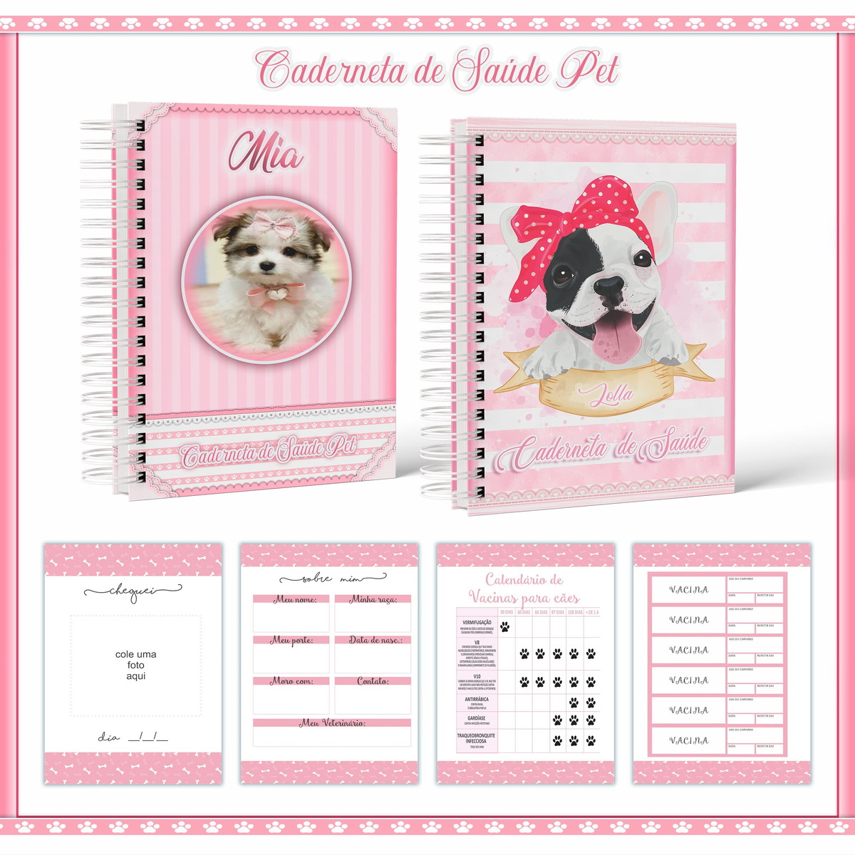 Caderneta de Vacina Pet Fêmea Digital para Imprimir 1 Caderneta de Vacina Pet Fêmea Digital para Imprimir