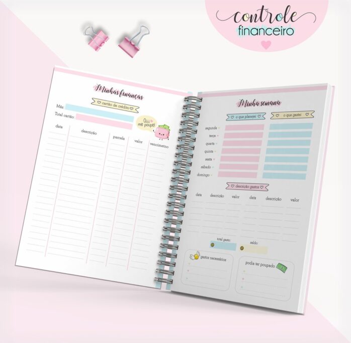 Caderno Controle Financeiro Feminino 02
