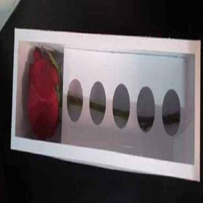 Caixa para 6 doces e 1 Rosa - MOLDE LIMPO