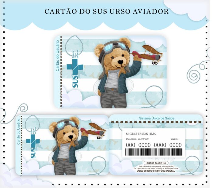 Cartão Sus Urso Aviador