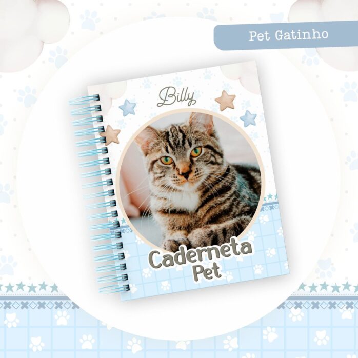 Coleção Pet Gatinho Azul