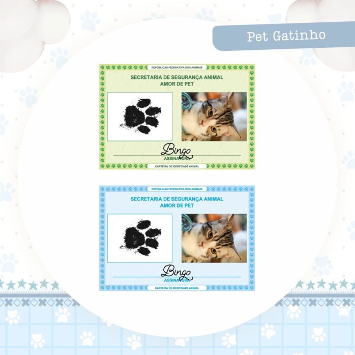 Coleção Pet Gatinho Azul