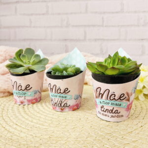 Três suculentas em vasos decorados com mensagens 'Mãe', sobre uma superfície de palha.