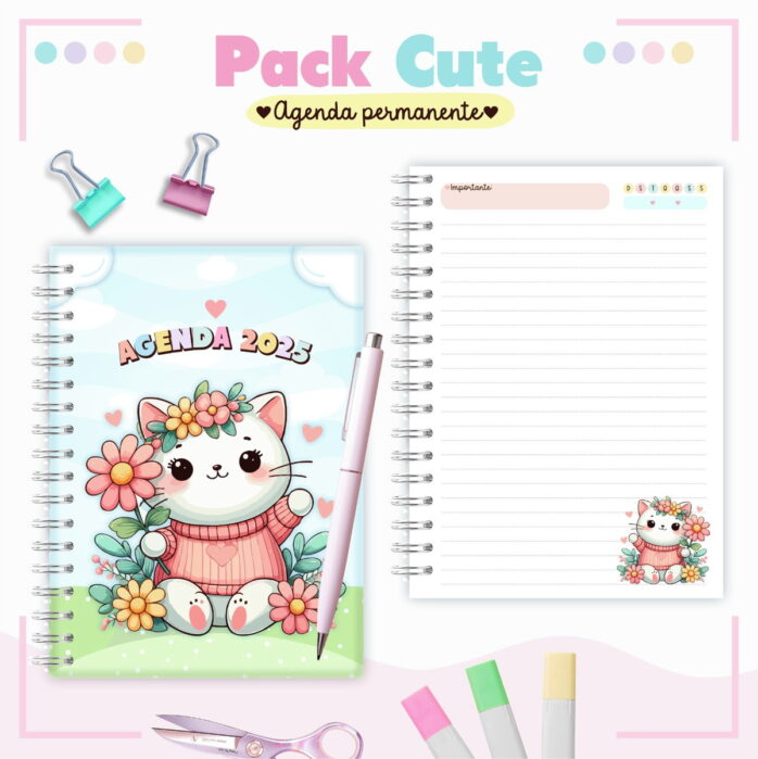Combo Agendas Infantil Permanente Meninas