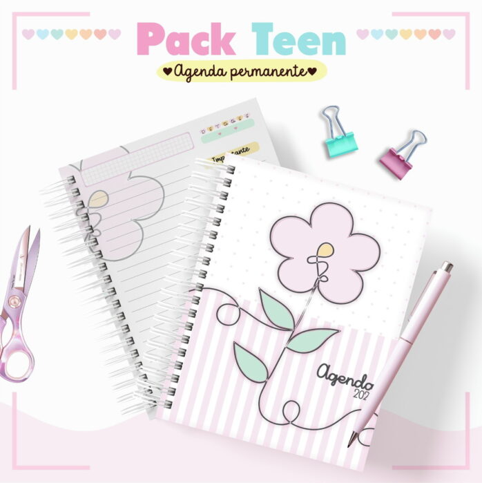 Combo Agendas Infantil Permanente Meninas