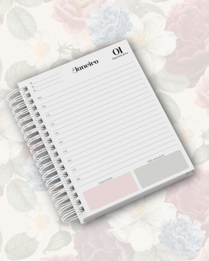 Combo Agendas Leoa