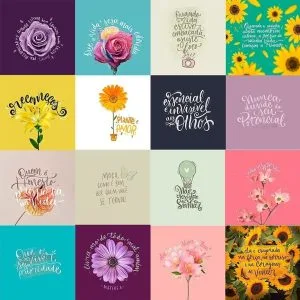 Combo Frases Esperança Motivacional Apoio Amor Força Em Jpg