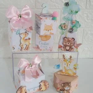 Festa Bosque Encantado - Studio