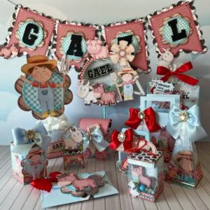 Festa Fazendinha Menino