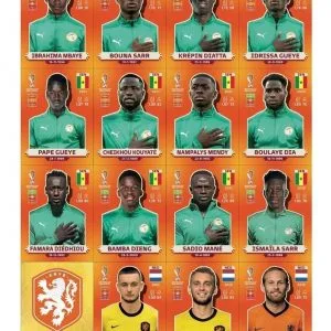 Figurinhas Da Copa Do Mundo 2022 Laranja Arquivo Digital Pdf