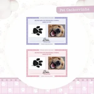 Identidade Pet Cachorrinha 3 Identidade Pet Cachorrinha