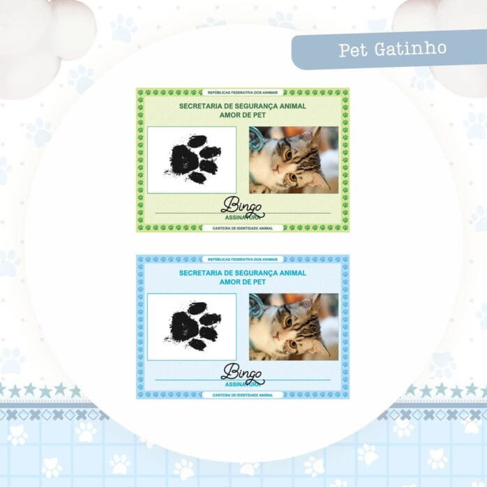 Identidade Pet Gatinho
