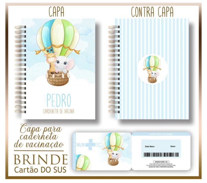 Kit Capa e Cartão Sus Animais Baloeiro