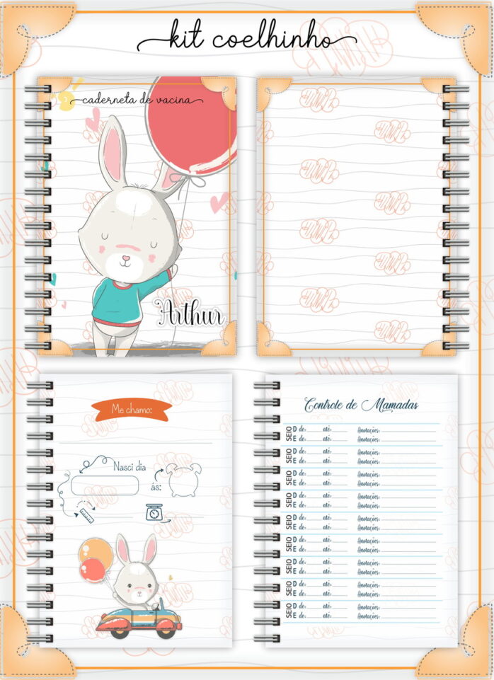 Kit Completo Coelhinho