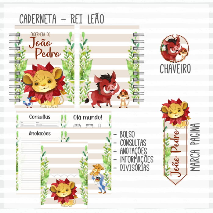 Kit Completo do Bebê Rei Leão