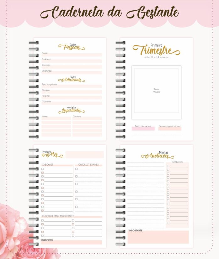 Kit Planners Gestantes