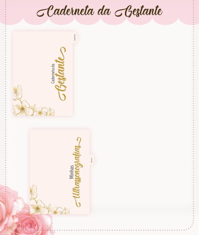 Kit Planners Gestantes