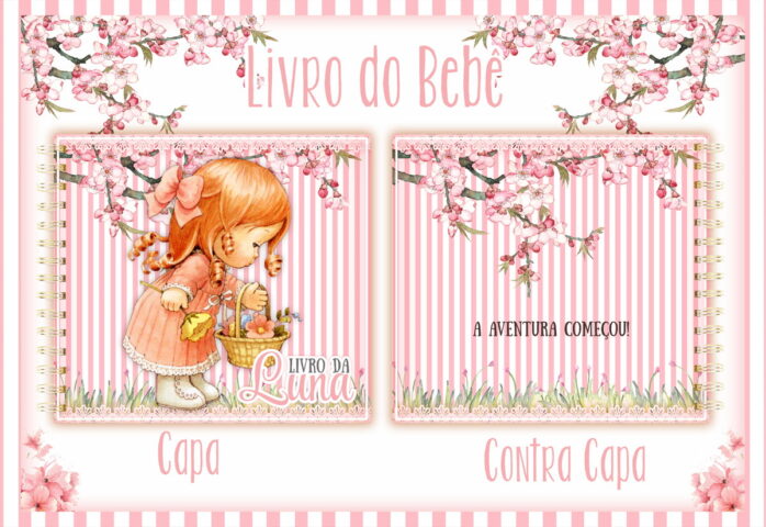 Livro do Bebê Bonecas