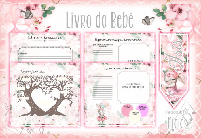 Livro do Bebê Coelhinha Bailarina